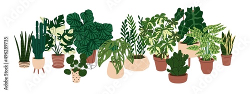 Collection home plants in the modern flowerpots. Beautiful composition with nature elements in the interior. Design for home and office. Hand drown. Flat style in vector illustration.