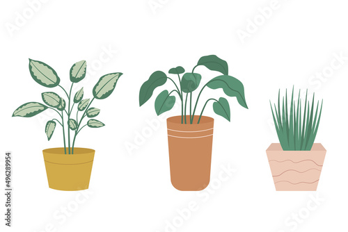 Collection of potted plants isolated on white background. Set of house plants in pots and planters in flat style. Vector illustration