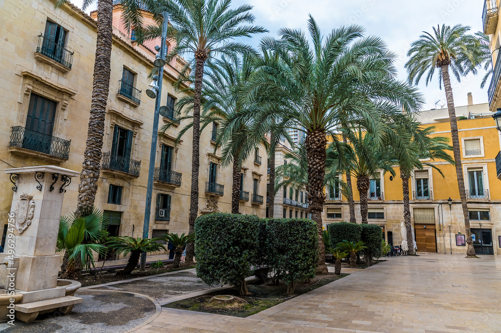 A view across a palm tree line square in the centre of Alicante on a spring day