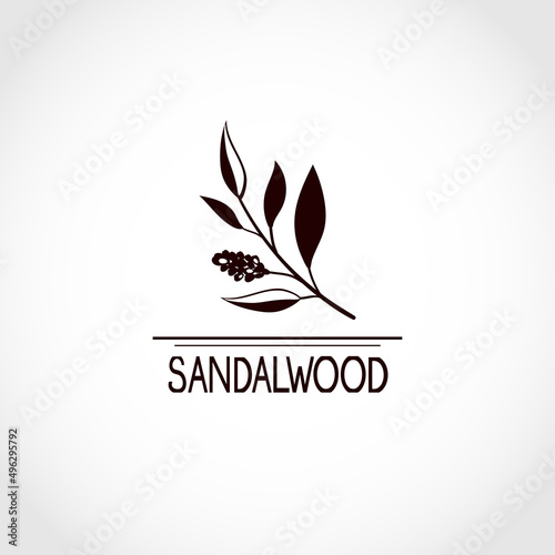Sandalwood. Medicinal plant. Silhouette. Logo.