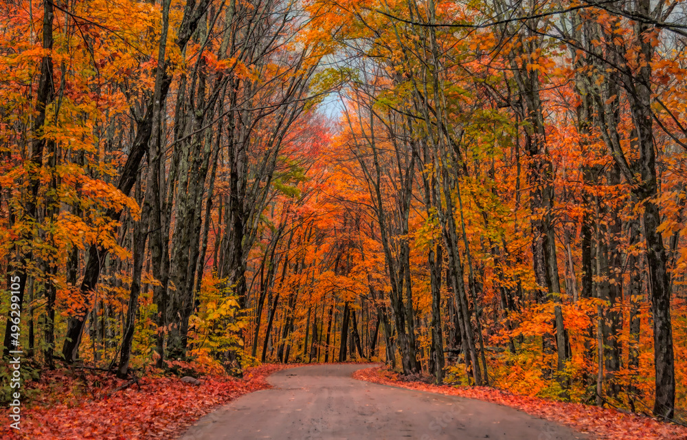 A country road, Arowhon Road, Algonquin Park in autumn, Canada 