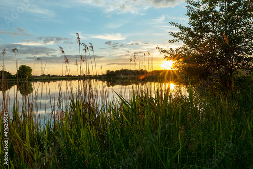 Sunset over the lake with green reeds, Stankow, Poland