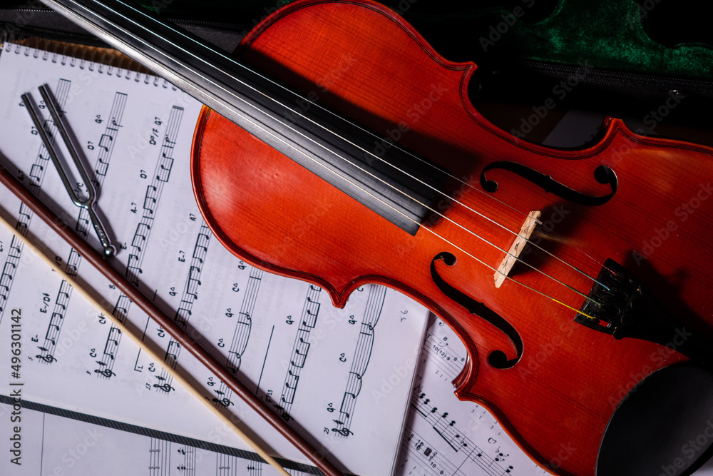 Fototapeta premium Práctica y estudio de Violín