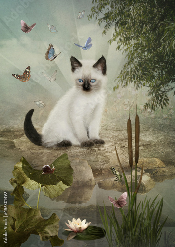 Siamese kitten, sitting on the river bank, surrounded by butterflies, looks at the snail in surprise
