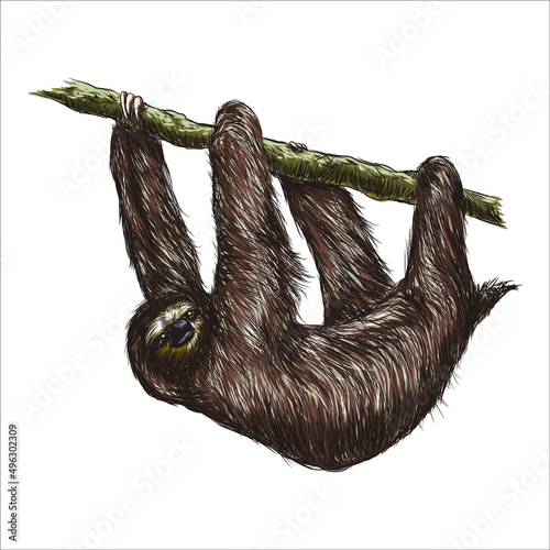 Black and white engrave isolated sloth vector illustration