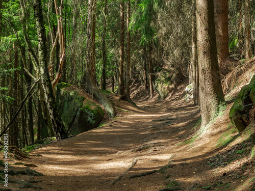 Halbenweg in der Sächsischen Schweiz - Waldweg zur Gautschgrotte photo