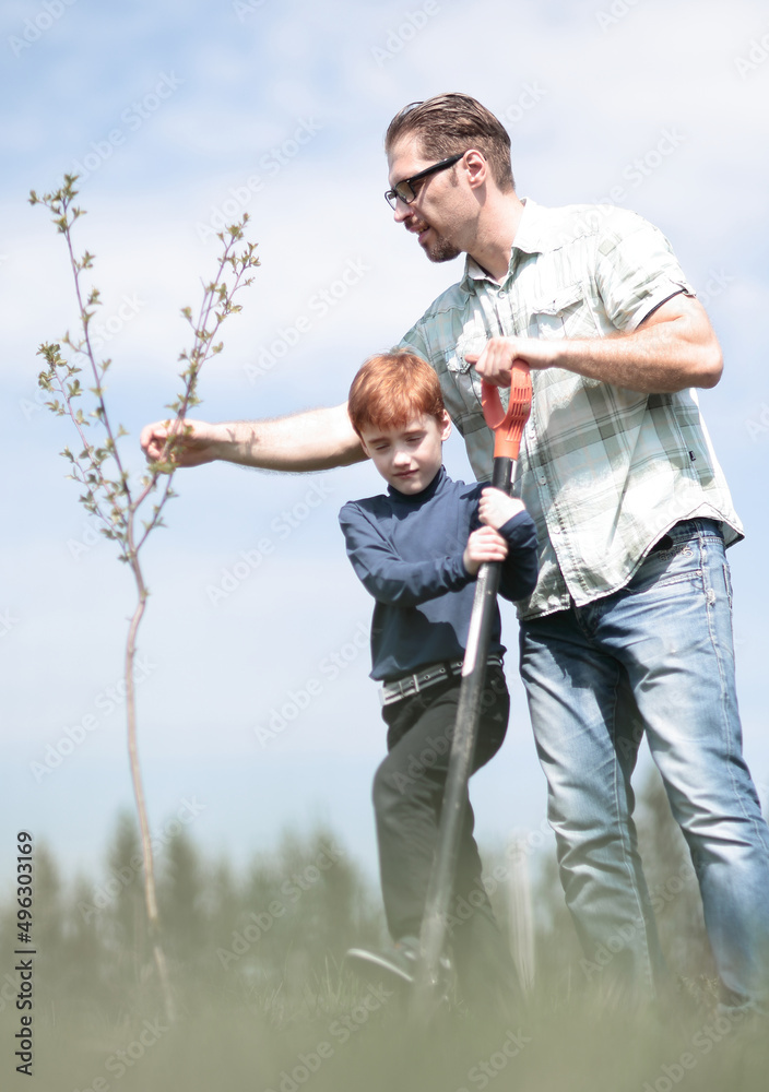 father and son planting a tree - working together