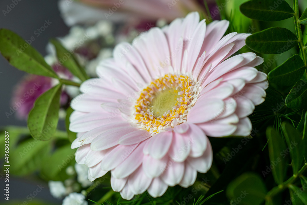 Blumenstrauß Blumenstrauß