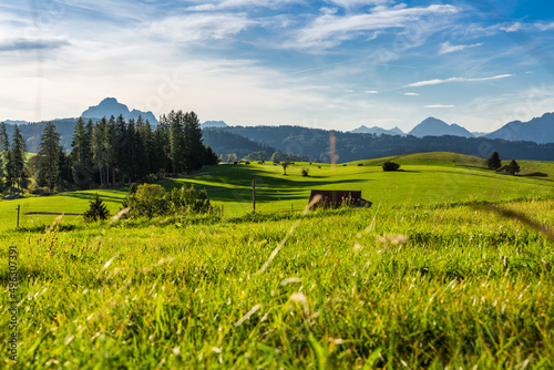 Panoramic view of beautiful sunny landscape in the Alps with fresh green meadows
field in the front and mountain tops in the background with blue sky and clouds, bavaria, allgäu,seeg photo