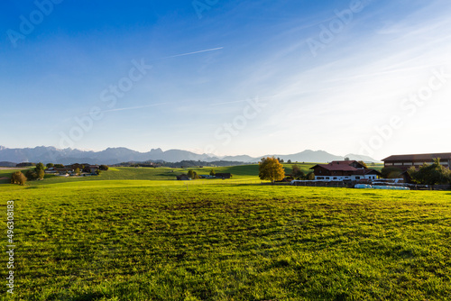 Panoramic view of beautiful sunny landscape in the Alps with fresh green meadows field in the front and mountain tops in the background with blue sky and clouds  bavaria  allg  u seeg