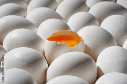 White whole eggs and cracked egg with a yolk. Shallow depth of field