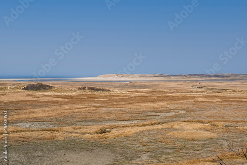 Slufter area Texel