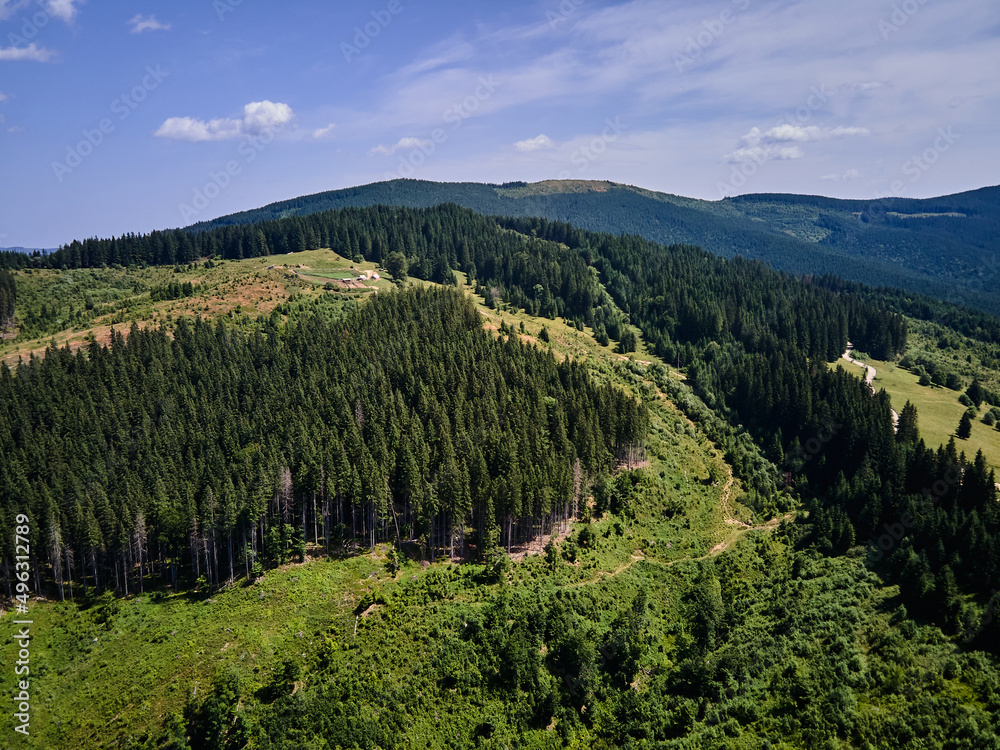 Aerial view of the mountain dirt road and forest in spring, Carpathian mountains, Ukraine, Colorful landscape with hills with green grass and trees, Nature background