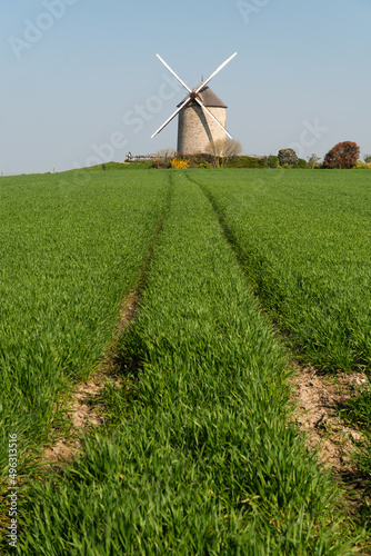 Windmill near mont saint michel in Normandy