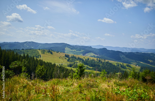 Beautiful mountain and forest in spring, Carpathian mountains, Ukraine, Colorful landscape with hills with green grass and trees, Nature background © bondarillia