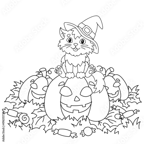 Fototapeta Naklejka Na Ścianę i Meble -  A cat in a witch hat sits on a pumpkin. Halloween theme. Coloring book page for kids. Cartoon style. Vector illustration isolated on white background.