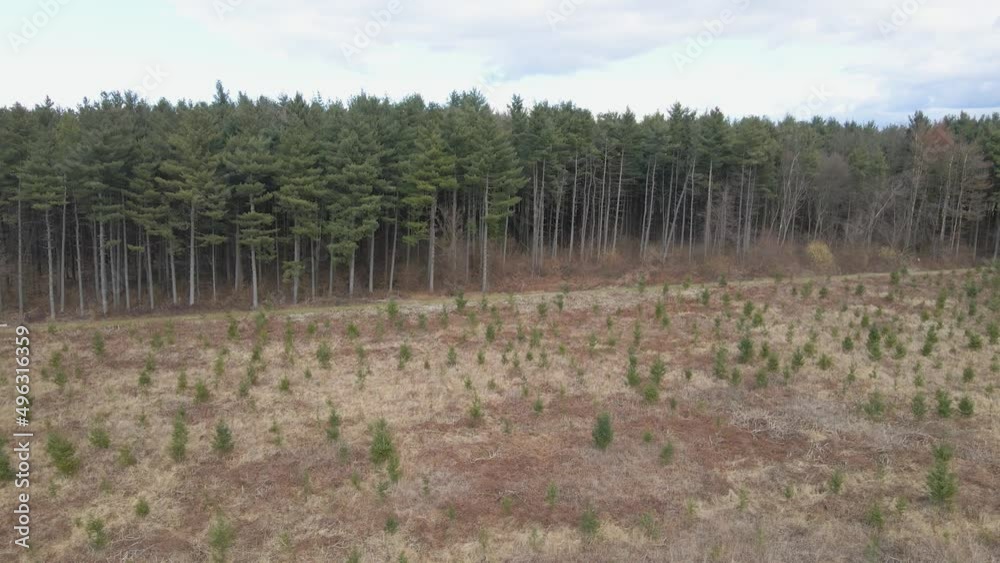 Aerial view of planting tree saplings during reforestation drive, to preserve mother nature. Aerial view of planting tree saplings during reforestation drive, to preserve mother nature.