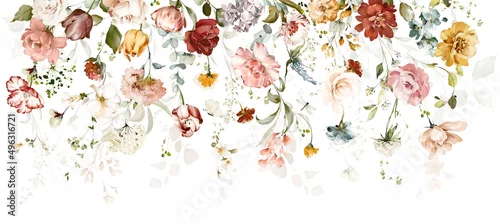Obraz Border for wallpaper, watercolor pink and red flowers, garden roses, peonies. collection leaves, branches. Botanic illustration isolated on white background.