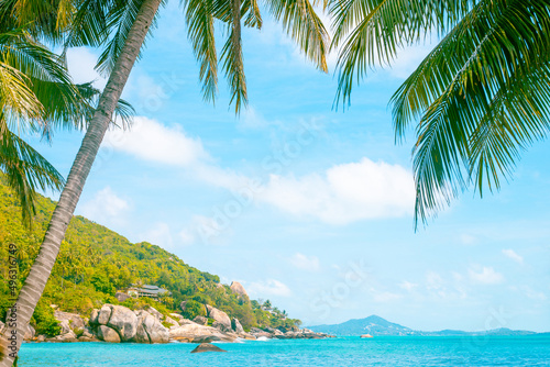 Tropical landscape. Seashore with palm trees and mountain. Travel and tourism.