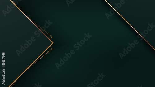 Luxury golden frame line on dark green shade. Gold geometric element border composition. Graphic vector illustration.