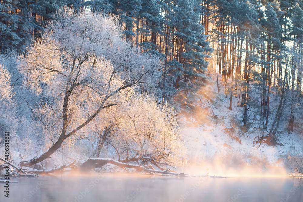 Misty winter sunrise in the wood. Bright rays on tops trees. Fog over the river. Frost on branches of trees and land.