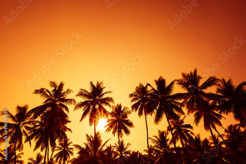 Sunset on tropical beach with coconut palm trees silhouettes and shining sun © nevodka.com
