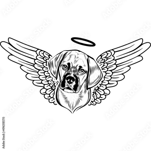 Puggle with Wings and Halo Vector