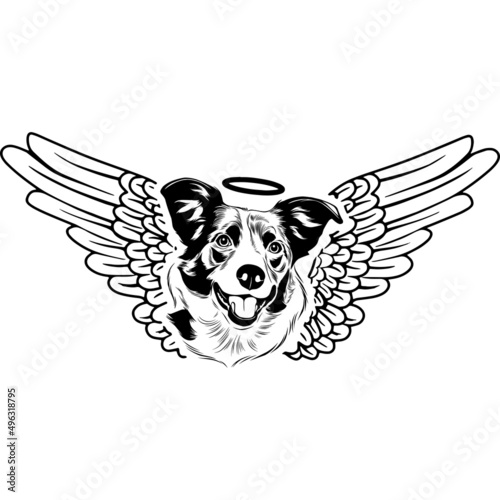 Border collie with Wings and Halo Vector