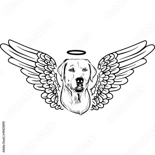 Labrador with Wings and Halo Vector