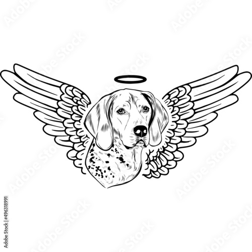 American English Boonhound with Wings and Halo Vector