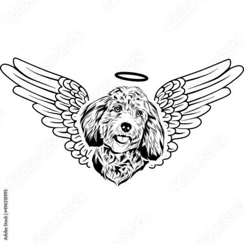 Cockapoo with Wings and Halo Vector