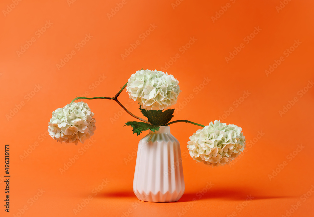 Hydrangea flowers in a white vase on an orange background with copy space. Hydrangea flowers in a white vase on an orange background with copy space.