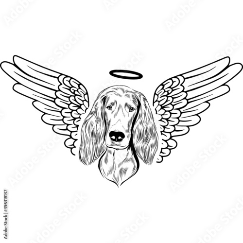Irish Setter with Wings and Halo Vector