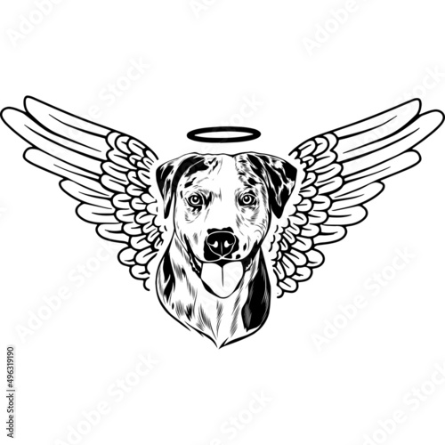Catahoula with Wings and Halo Vector