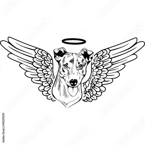 Jack Russel Terrier with Wings and Halo Vector