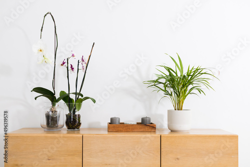 Fresh flower vases and houseplant on sideboard against white wall at home with copy space photo