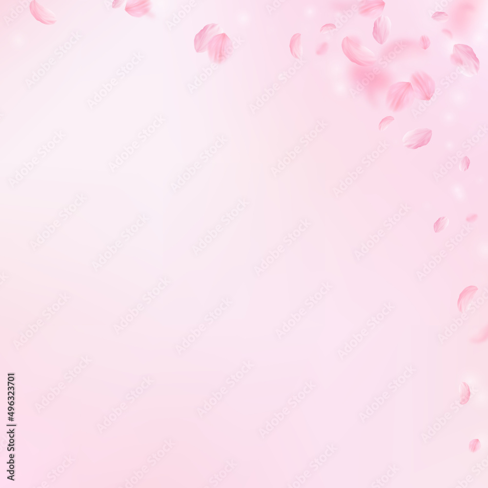 Sakura petals falling down. Romantic pink flowers corner. Flying petals on pink square background. Love, romance concept. Surprising wedding invitation.