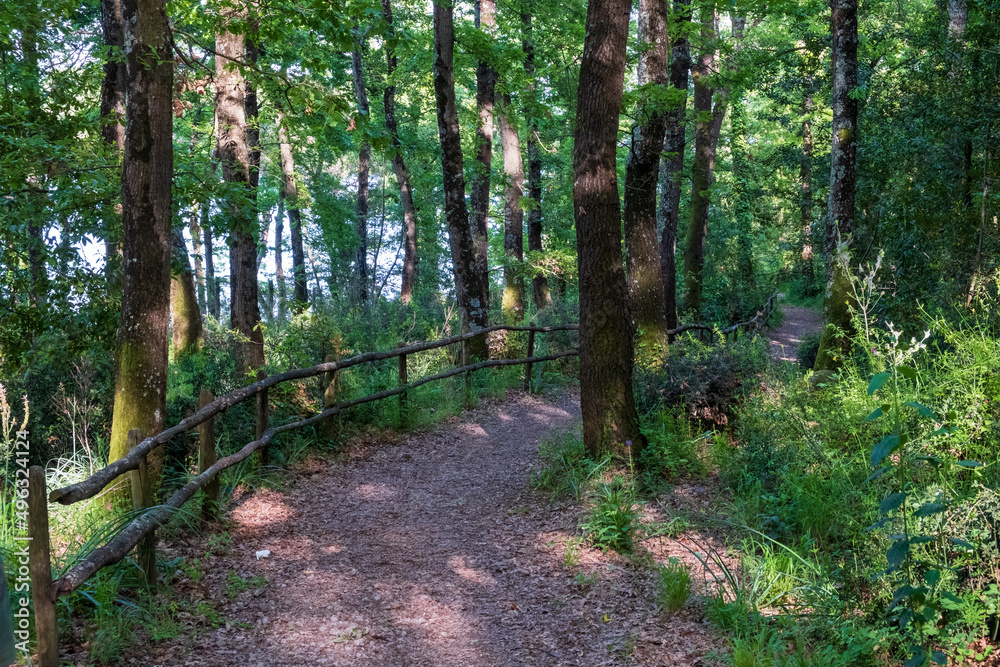 Obraz premium San Celso wood, near Bracciano, from where you can see the Bracciano lake.
