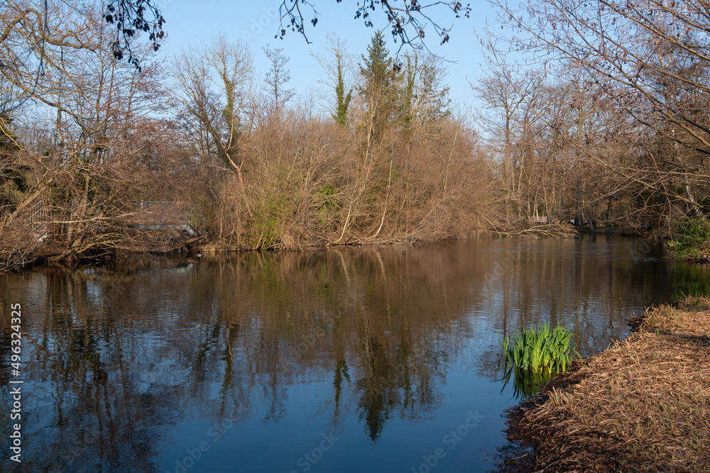 Rivière l'Essonne, Grand Montauger, Marais des Basses Vallées de l'Essonne et de la Juine, Essonne, 91 Rivière l'Essonne, Grand Montauger, Marais des Basses Vallées de l'Essonne et de la Juine, Essonne, 91