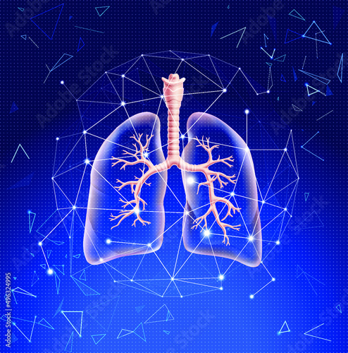 Illustration of lung partially translucent to visualize pulmonary branches presented in technological form using lines and triangular shapes. Used in medical and educational purposes.