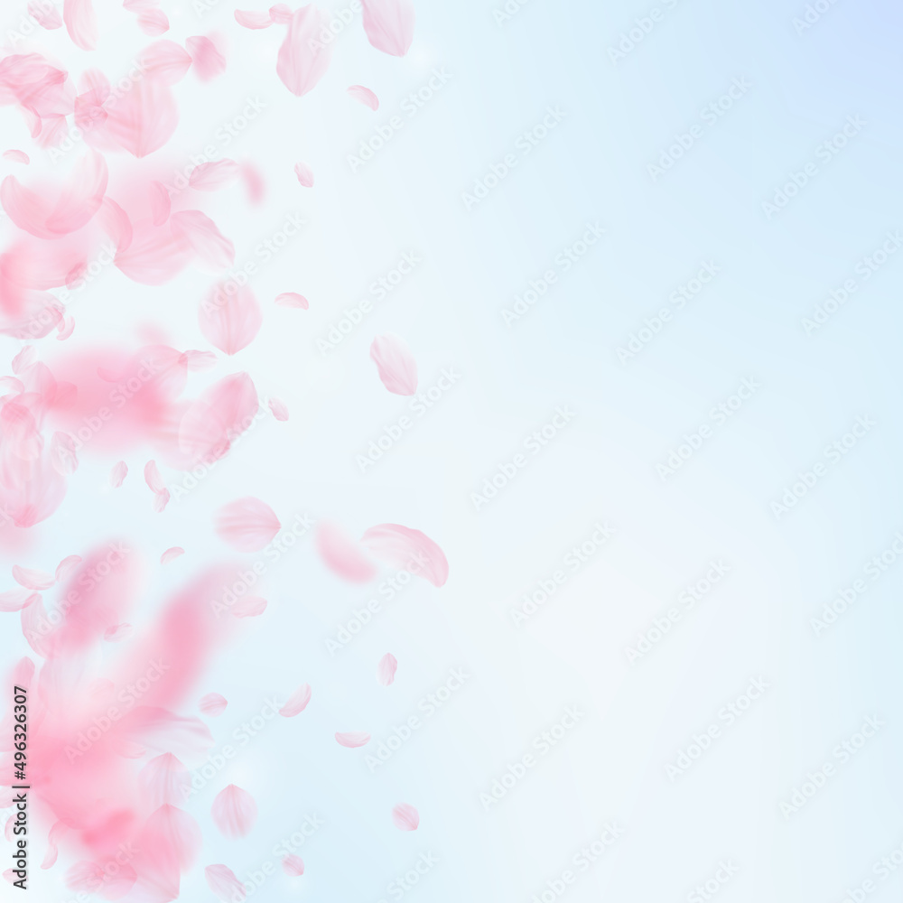 Sakura petals falling down. Romantic pink flowers gradient. Flying petals on blue sky square background. Love, romance concept. Superb wedding invitation.