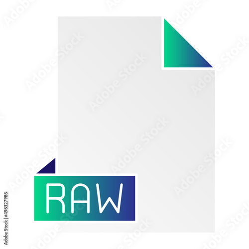 file extension raw