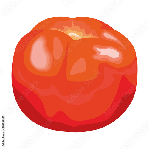fresh tomatoe vegetable
