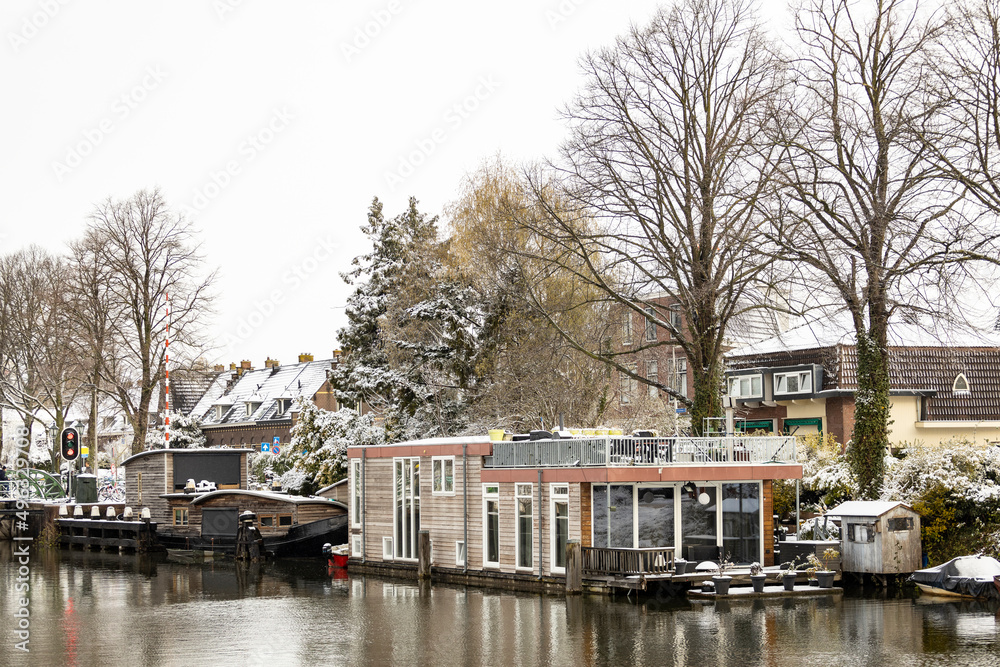Graphic outlined branches of trees due to snowfall above floating canal home boats. Weather conditions and white winter landscape.