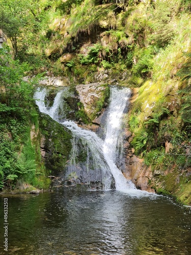 waterfall in the forest