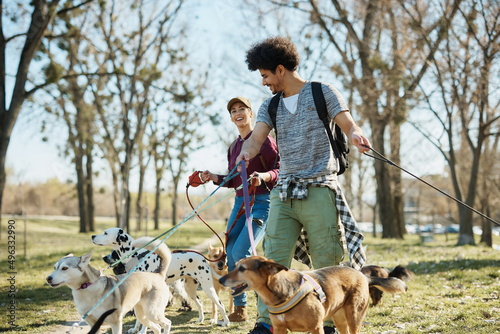 Photography Happy friends walking group of dogs in park while working as dog walkers