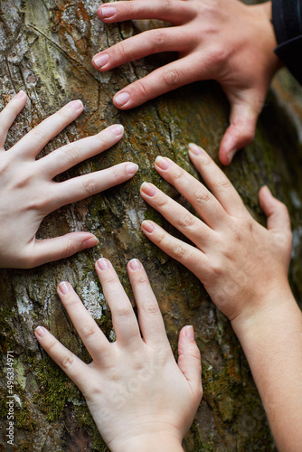 Feeling life beneath their fingers. Shot of a group of unidentifiable friends putting their hands on a tree trunk.