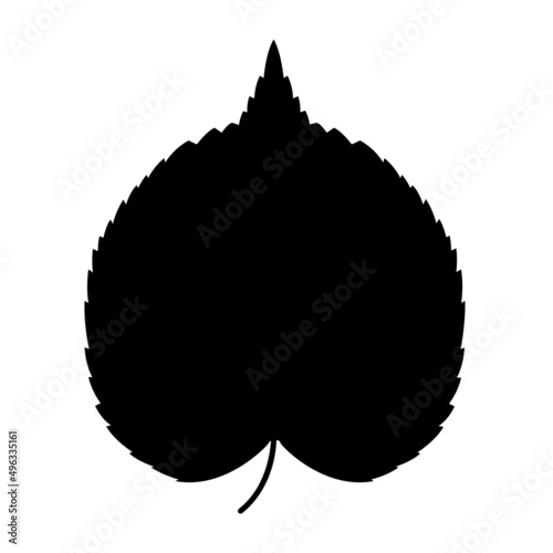FEUILLE ARBRE TILLEUL