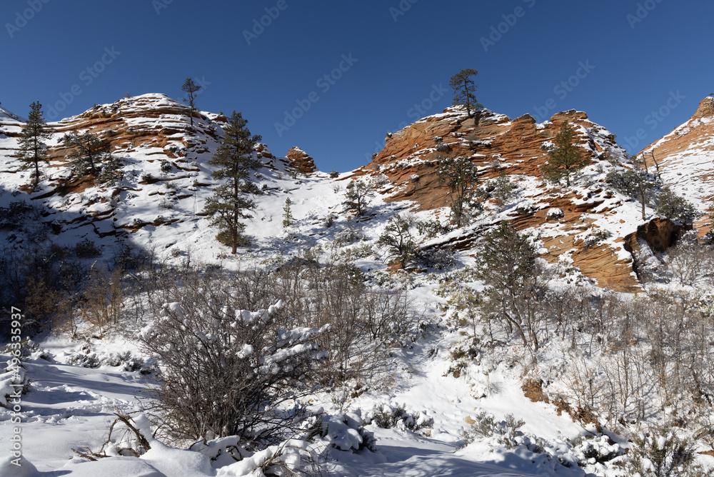 Snow Covered Landscape of Zion National Park Utah in Winter
