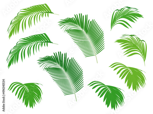 観葉植物の葉っぱ_熱帯の植物_素材セット